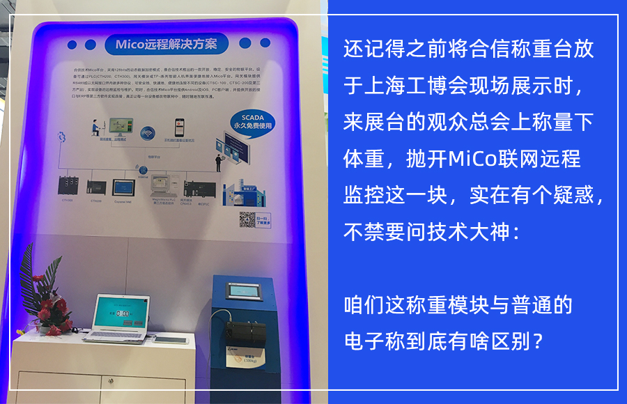 称沉？.jpg